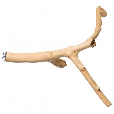 24 Y-Branch Coffeawood Bird Perch